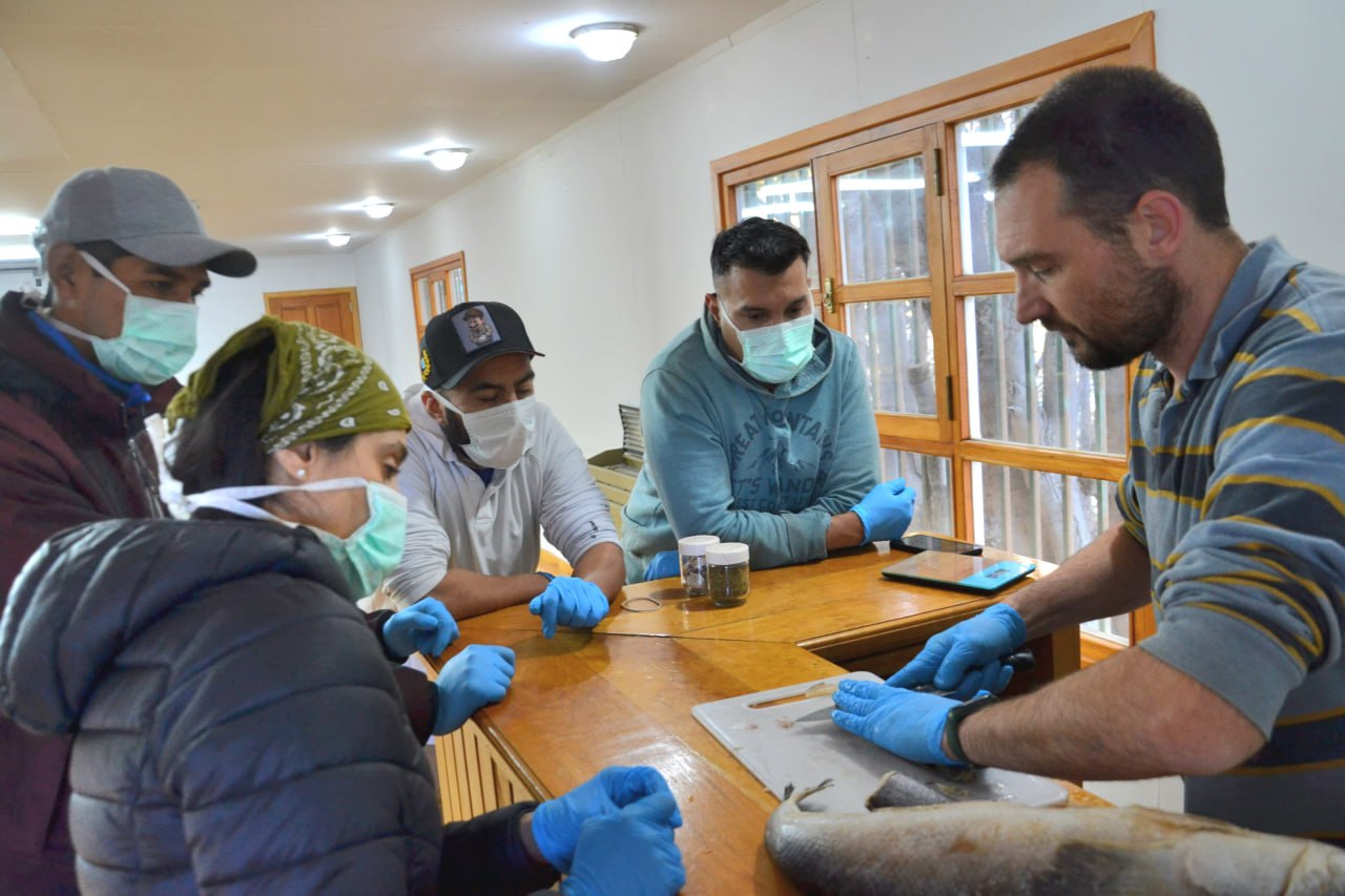 CONCLUYERON LAS CLASES PRÁCTICAS DEL CURSO DE ACTUALIZACIÓN PARA PESCADORES Y ACUICULTORES ARTESANALES