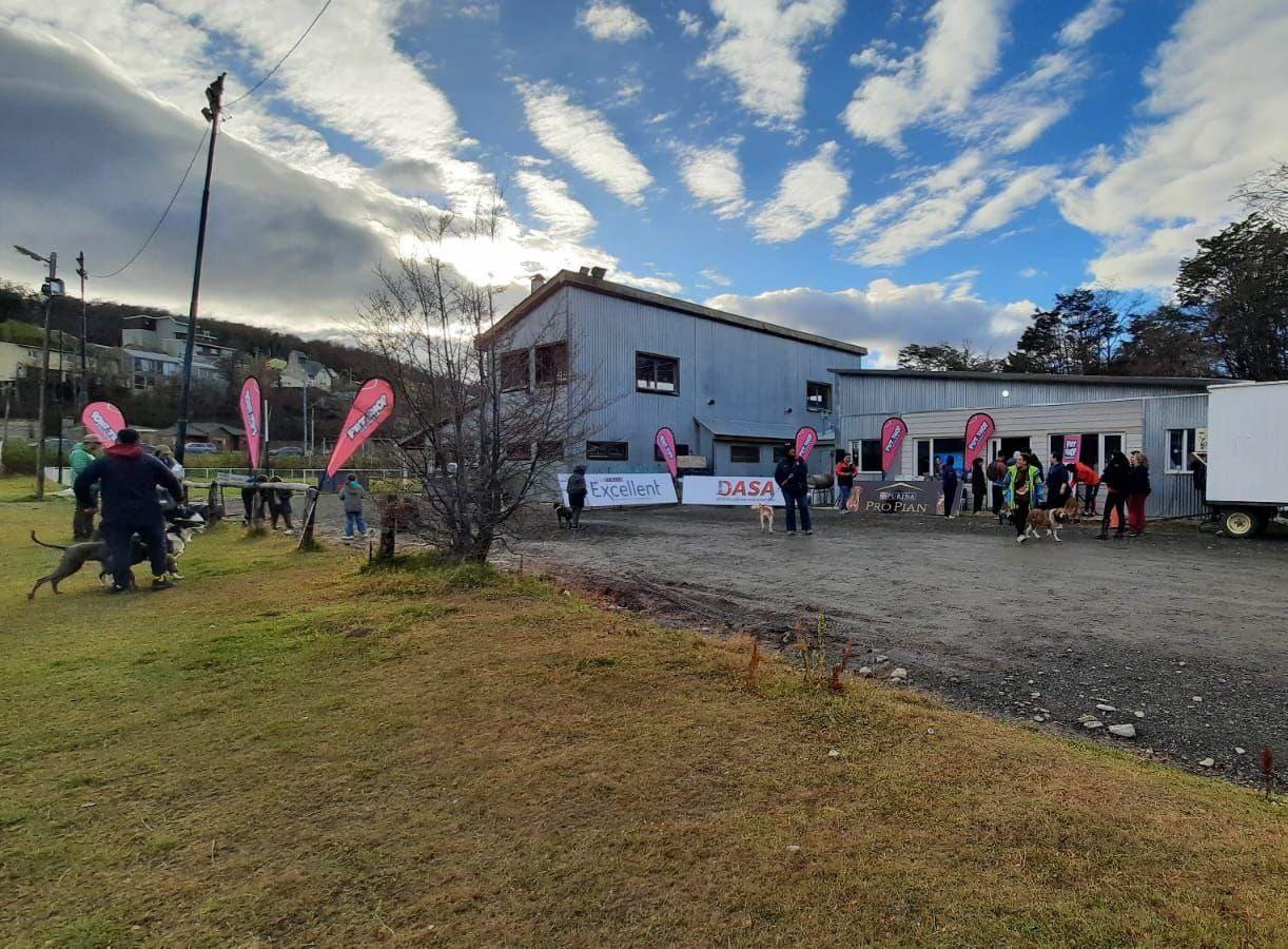 LA MUNICIPALIDAD CONTINUÓ LAS ACTIVIDADES POR EL DÍA DEL ANIMAL EN EL USHUAIA RUGBY CLUB