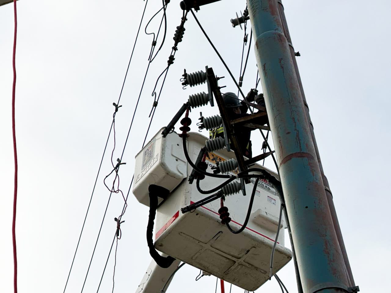 SE COMPLETARON LOS TRABAJOS EN EL CENTRO DE DISTRIBUCIÓN VIALIDAD Y SE RESTABLECIÓ CON NORMALIDAD EL SERVICIO ELÉCTRICO EN USHUAIA