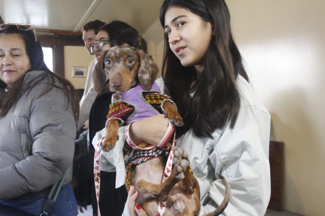 “ZOONOSIS MÁS CERCA” LLEGÓ A ANDORRA CON UNA JORNADA DE ATENCIÓN DE VETERINARIA GRATUITA