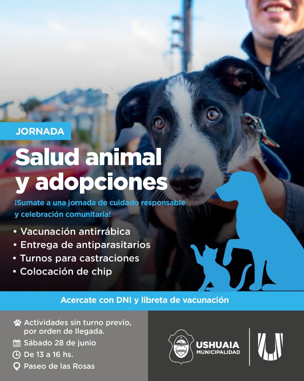 ZOONOSIS MUNICIPAL REALIZARÁ UNA JORNADA DE SALUD ANIMAL EN EL PASEO DE LAS ROSAS