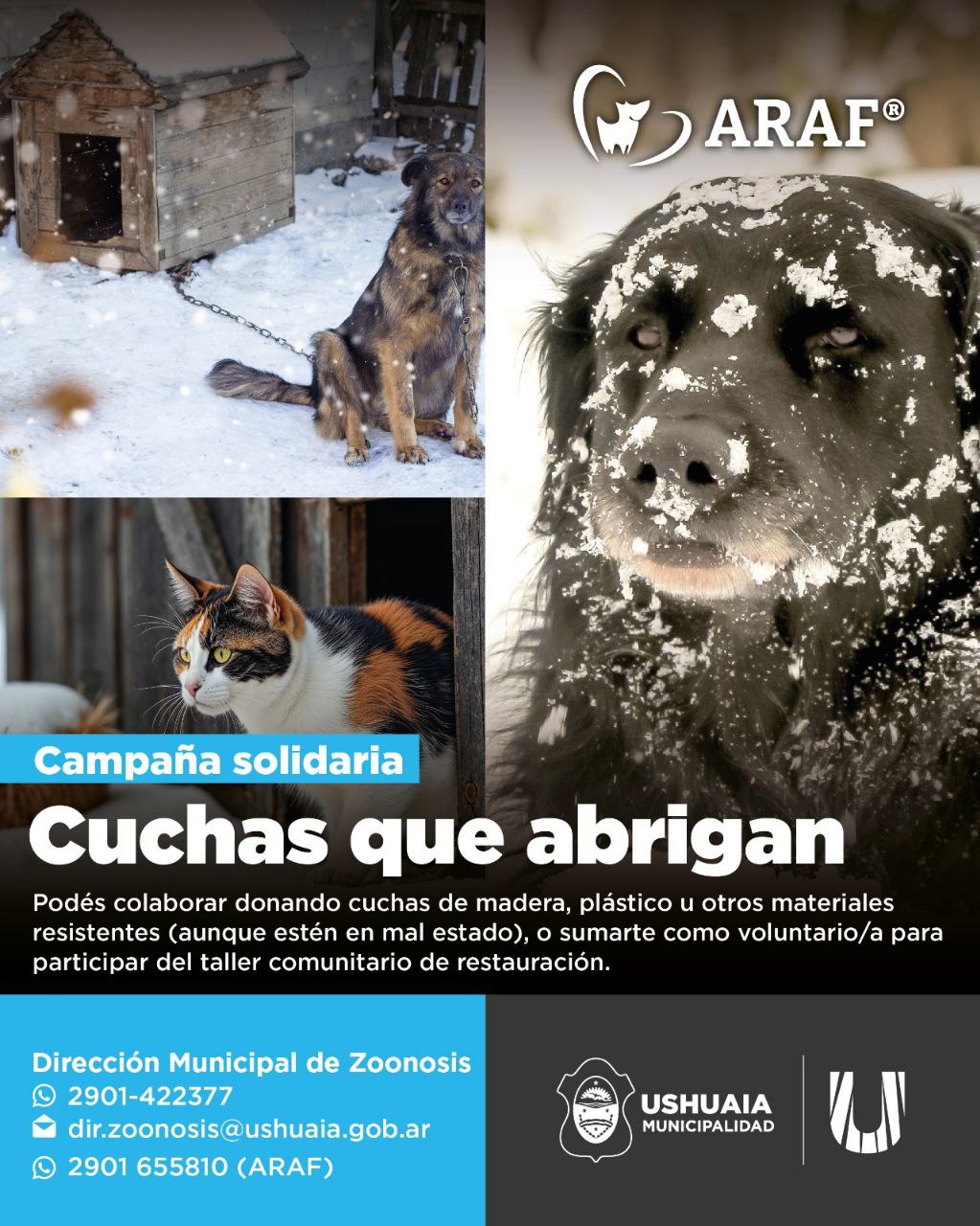 EL MUNICIPIO LANZA UNA CAMPAÑA PARA RESTAURAR Y ENTREGAR CUCHAS A FAMILIAS DE BAJOS RECURSOS