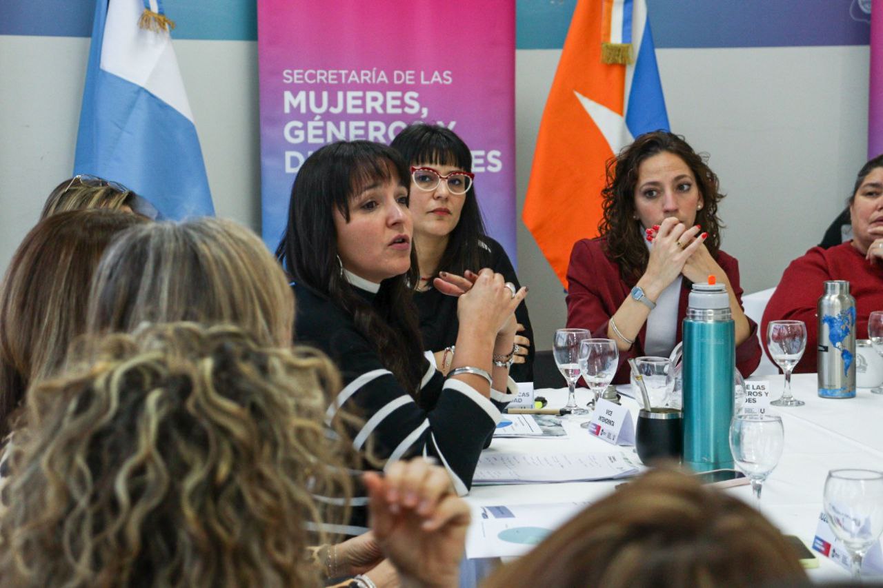 LA SECRETARÍA DE LAS MUJERES, GÉNEROS Y DIVERSIDADES REALIZÓ UNA NUEVA EDICIÓN DEL CONSEJO CONSULTIVO
