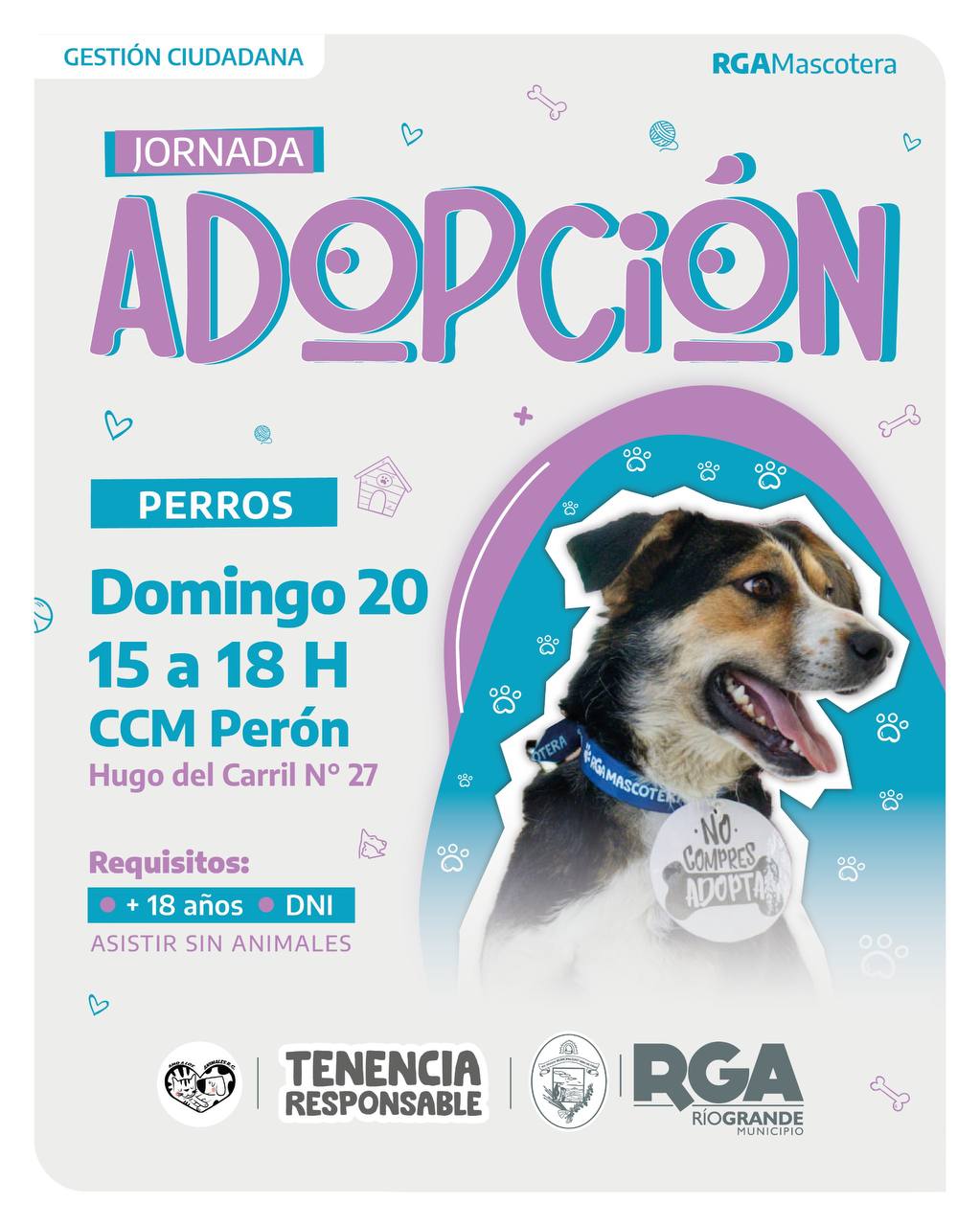 RGA MASCOTERA: SUMA UN NUEVO AMIGO DE CUATRO PATAS A TU FAMILIA