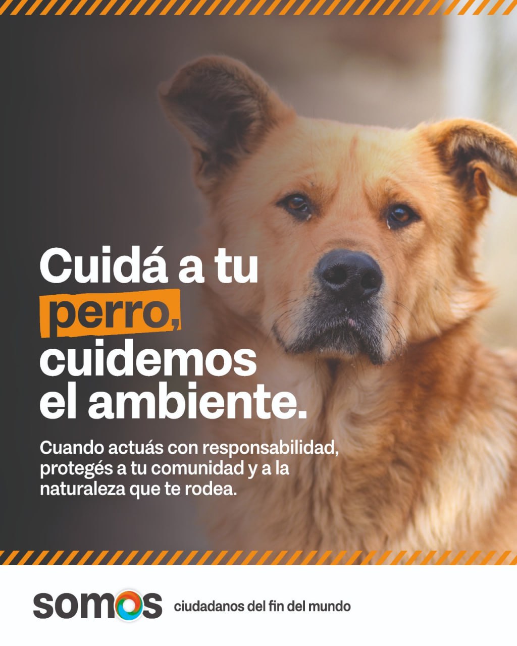 GOBIERNO LANZA LA CAMPAÑA 