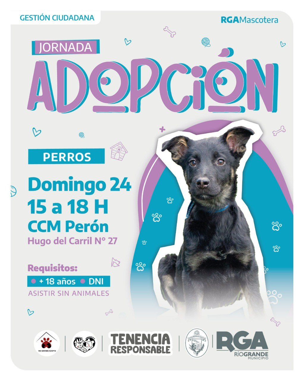 RGA MASCOTERA: SUMÁ UN AMIGO DE CUATRO PATAS A TU VIDA