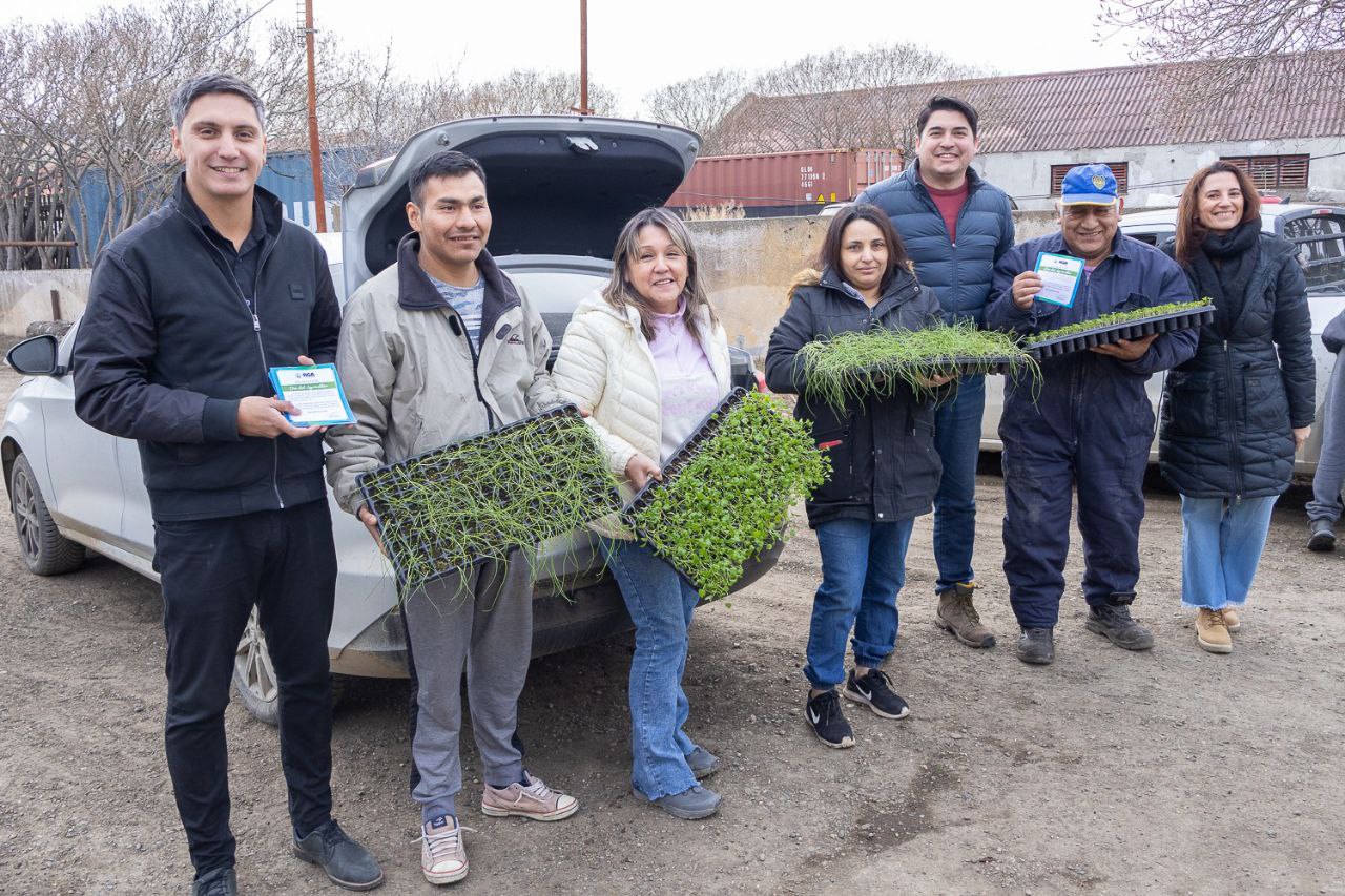 RGA AGROPRODUCTIVA: EL MUNICIPIO ENTREGARÁ 2 MILLONES DE PLANTINES DE HORTALIZAS EN LA TEMPORADA 2025-2026