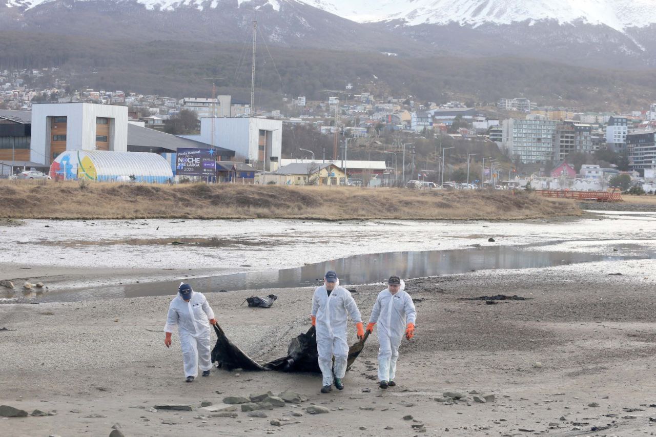 LA MUNICIPALIDAD DE USHUAIA JUNTO A PREFECTURA NAVAL Y LA ASOCIACIÓN ABE REALIZARON JORNADA DE LIMPIEZA EN LA BAHÍA ENCERRADA