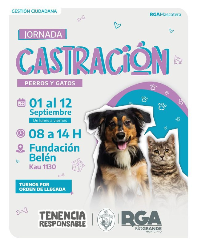 CONTINÚA LA JORNADA DE CASTRACIÓN MASIVA EN ZONA SUR