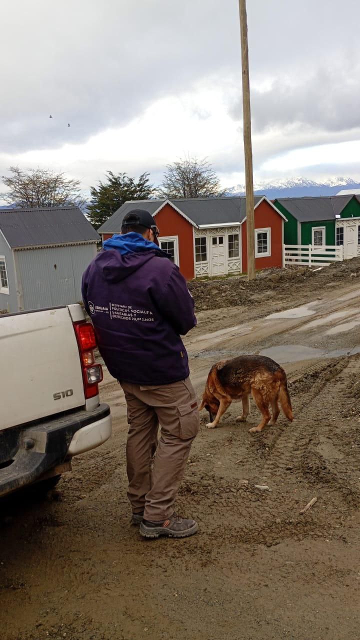 ZOONOSIS MUNICIPAL REALIZÓ UN OPERATIVO TERRITORIAL EN EL B° MIRADOR DE LOS ANDES