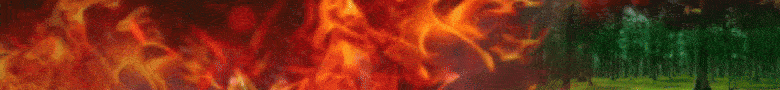 Banner Add