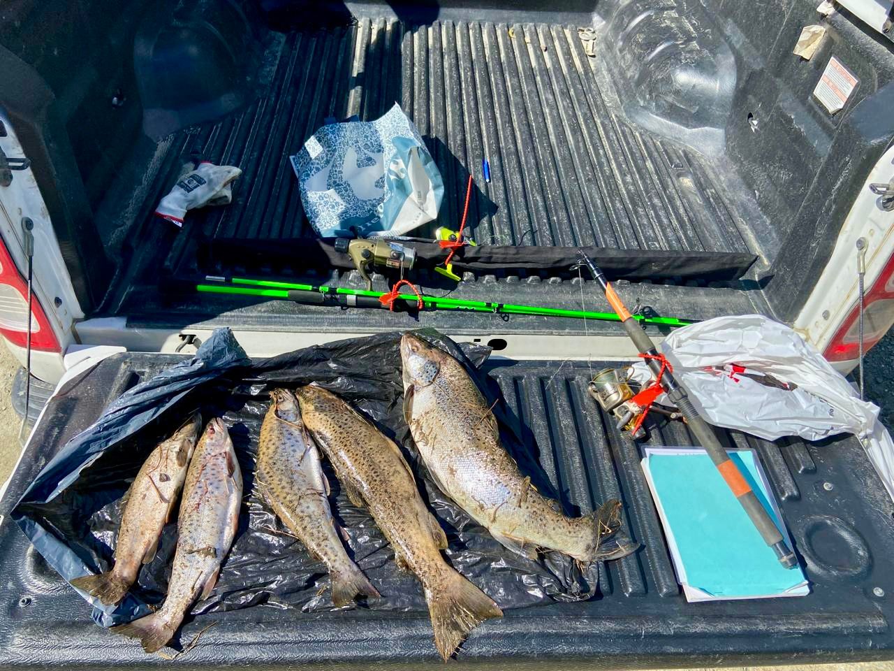 A DÍAS DE QUE INICIE LA TEMPORADA SE DETECTÓ PESCA ILEGAL EN EL RÍO MILNA