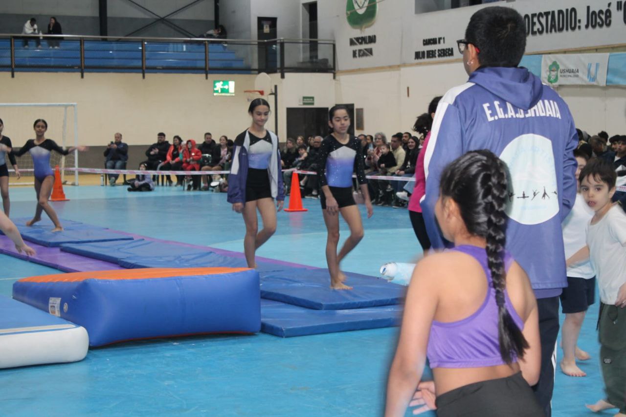 LA ESCUELA MUNICIPAL DE GIMNASIA ARTÍSTICA REALIZÓ SU SEGUNDA MUESTRA ANUAL EN EL “COCHOCHO” VARGAS