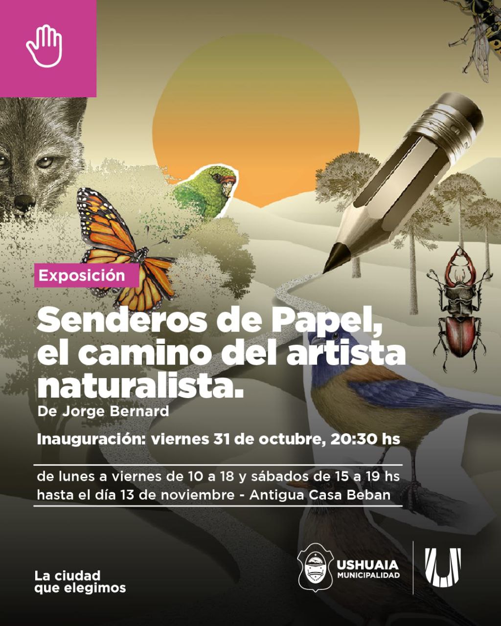 LA MUNICIPALIDAD DE USHUAIA ACOMPAÑARÁ LA EXPOSICIÓN “SENDEROS DE PAPEL, EL CAMINO DEL ARTISTA NATURALISTA” EN LA ANTIGUA CASA BEBAN