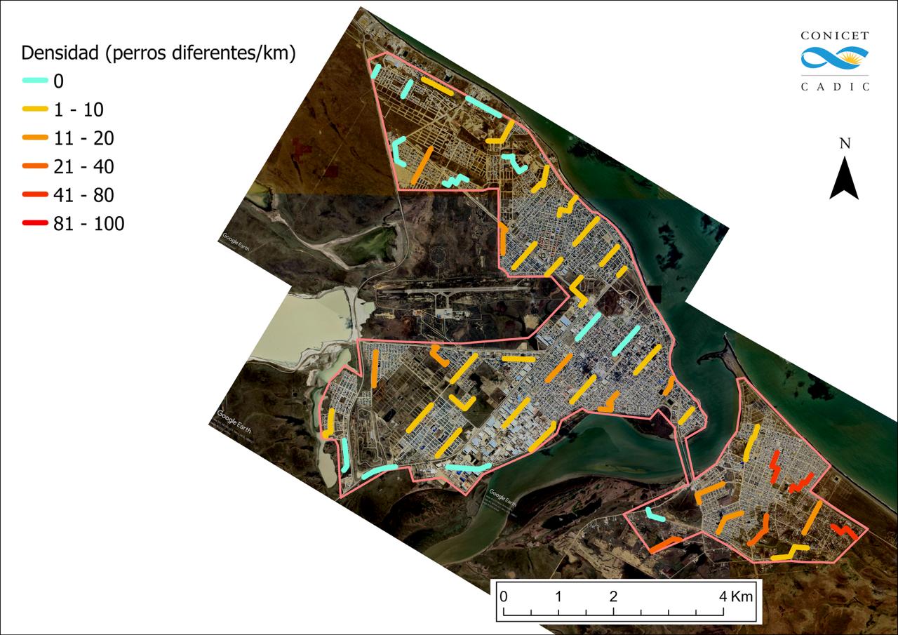 SE REALIZÓ EL RELEVAMIENTO PROVINCIAL DE PERROS SUELTOS, UN PASO CLAVE PARA FORTALECER EL CUIDADO RESPONSABLE