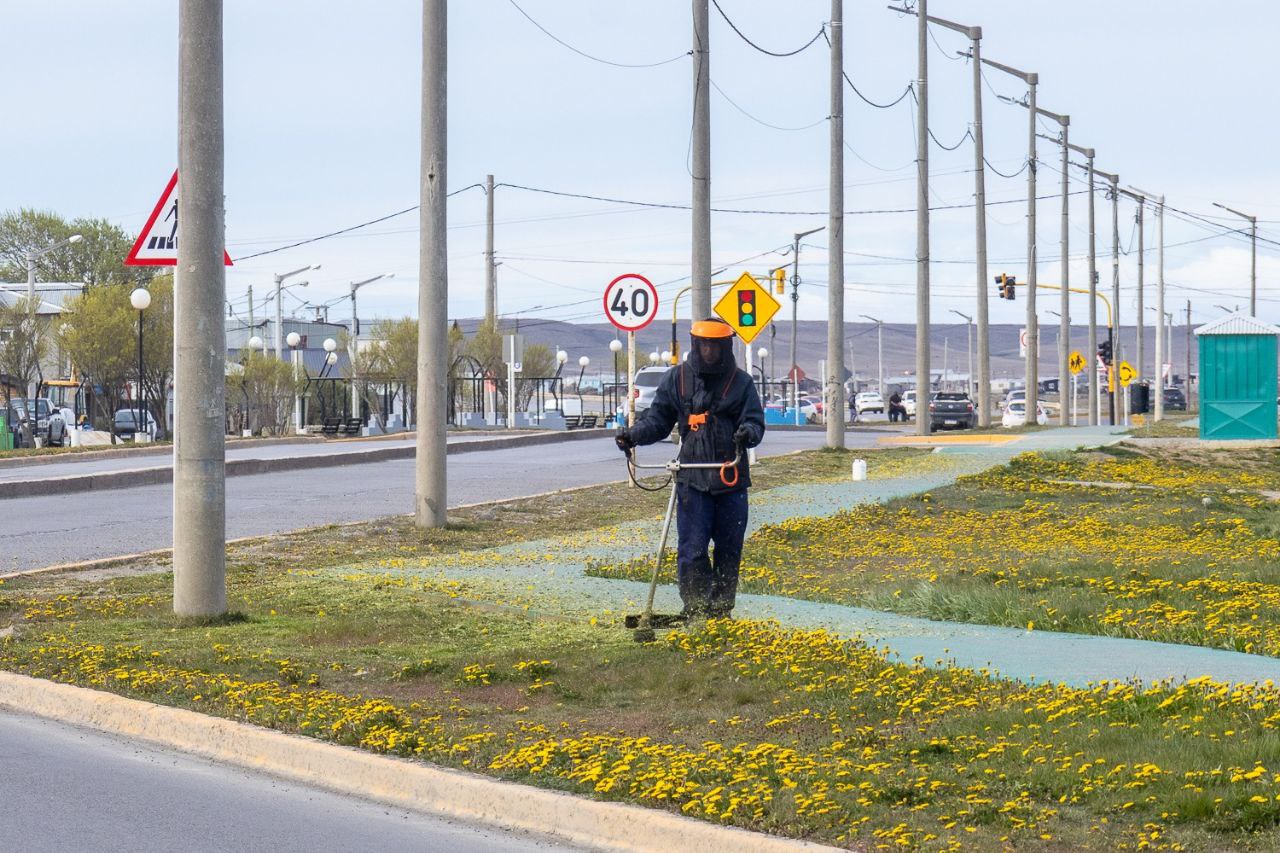 EL MUNICIPIO AVANZA CON EL PLAN DE EMBELLECIMIENTO URBANO EN TODA LA CIUDAD