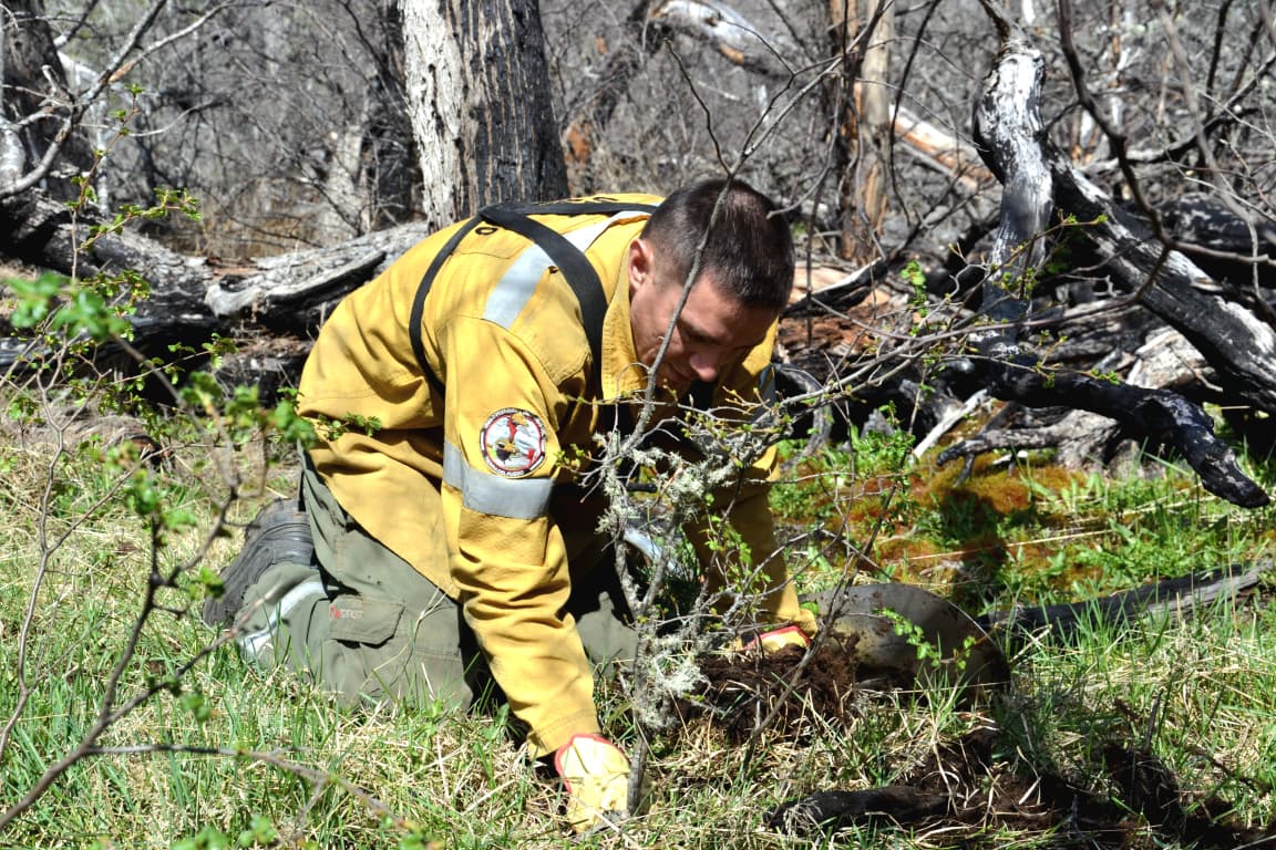 AVANZAN LAS ACCIONES DE RESTAURACIÓN Y MEJORA EN LA RESERVA PROVINCIAL CORAZÓN DE LA ISLA