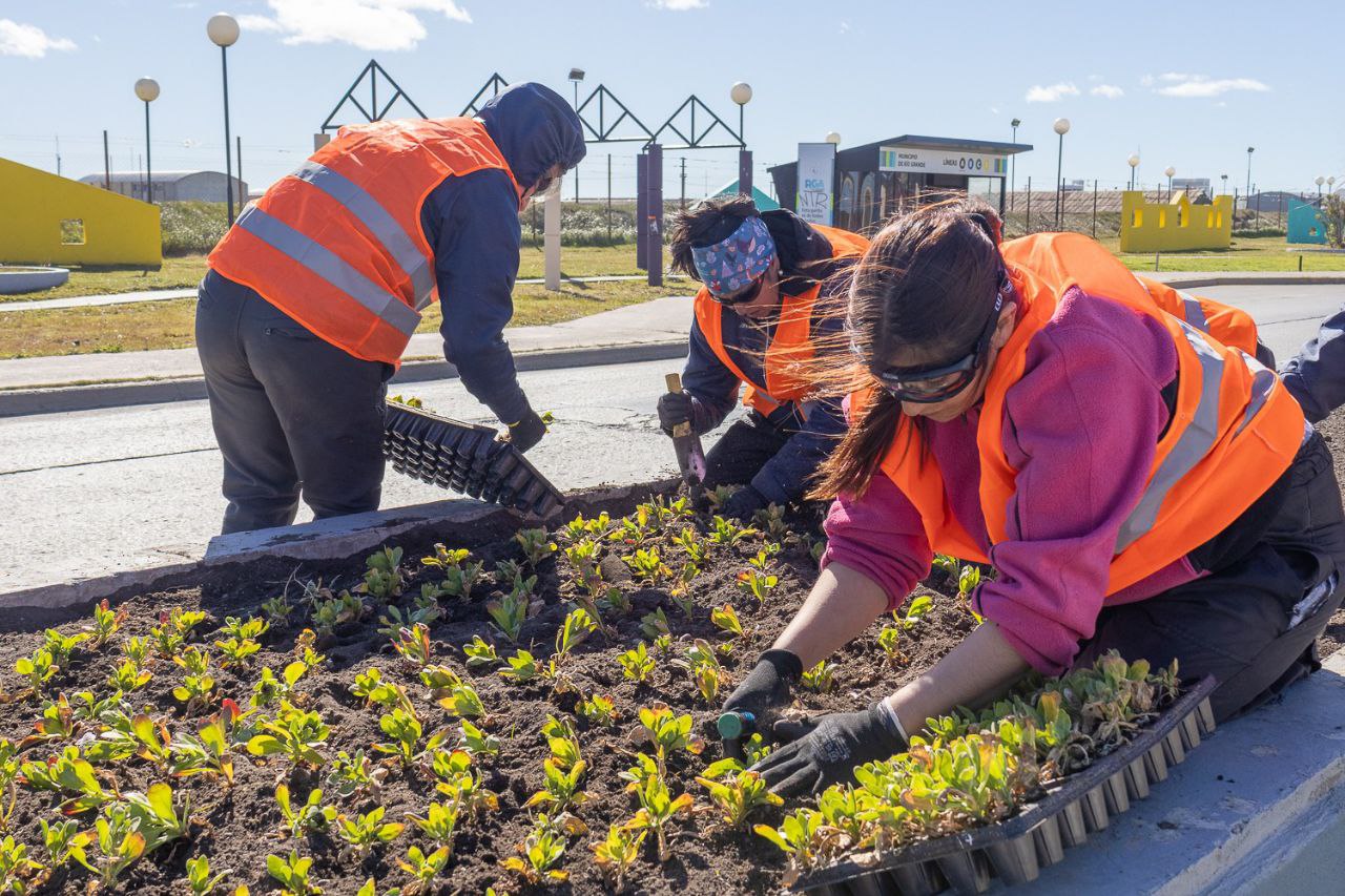 RÍO GRANDE MÁS COLORIDA: CONTINÚAN LAS TAREAS DE EMBELLECIMIENTO EN LA CIUDAD