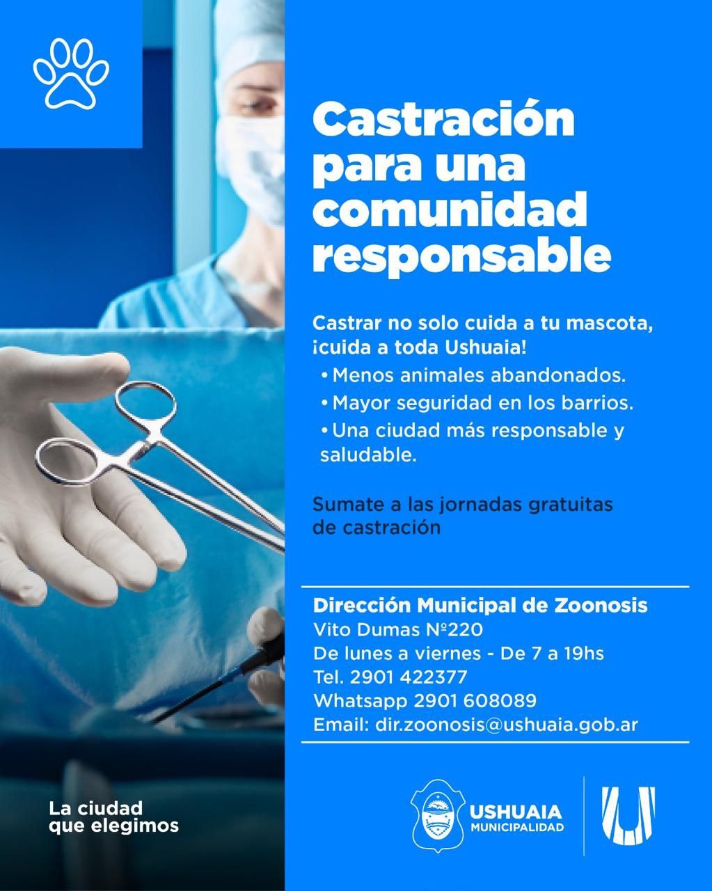 LA MUNICIPALIDAD IMPULSA JORNADAS GRATUITAS DE CASTRACIÓN EN USHUAIA