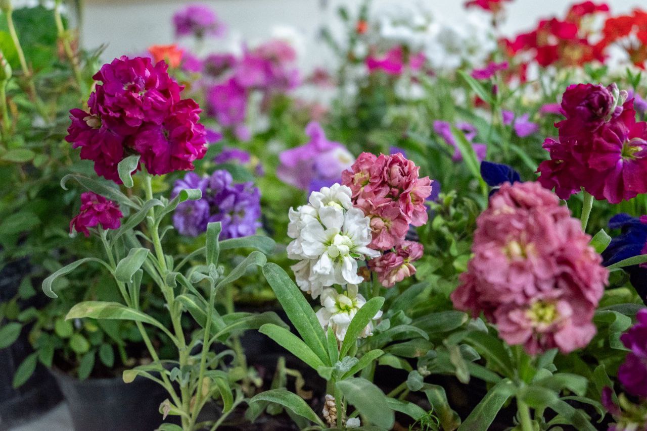 COMENZÓ LA EXPO AMBIENTAL 2025: USHUAIA FRENTE AL CAMBIO CLIMÁTICO