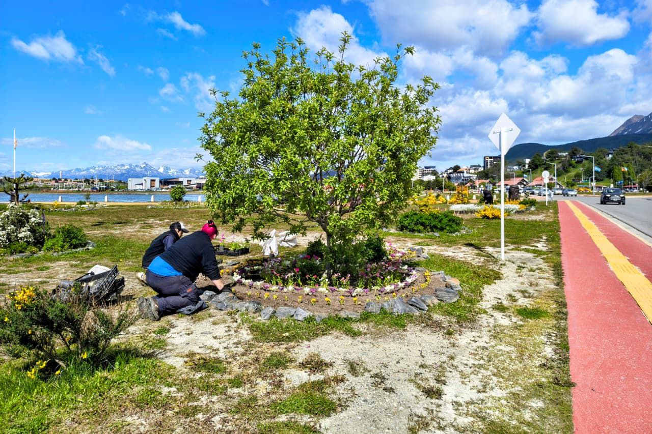 LA MUNICIPALIDAD DE USHUAIA AVANZA CON LOS TRABAJOS DE PUESTA EN VALOR EN EL PASEO DE LAS ROSAS Y OTROS SECTORES
