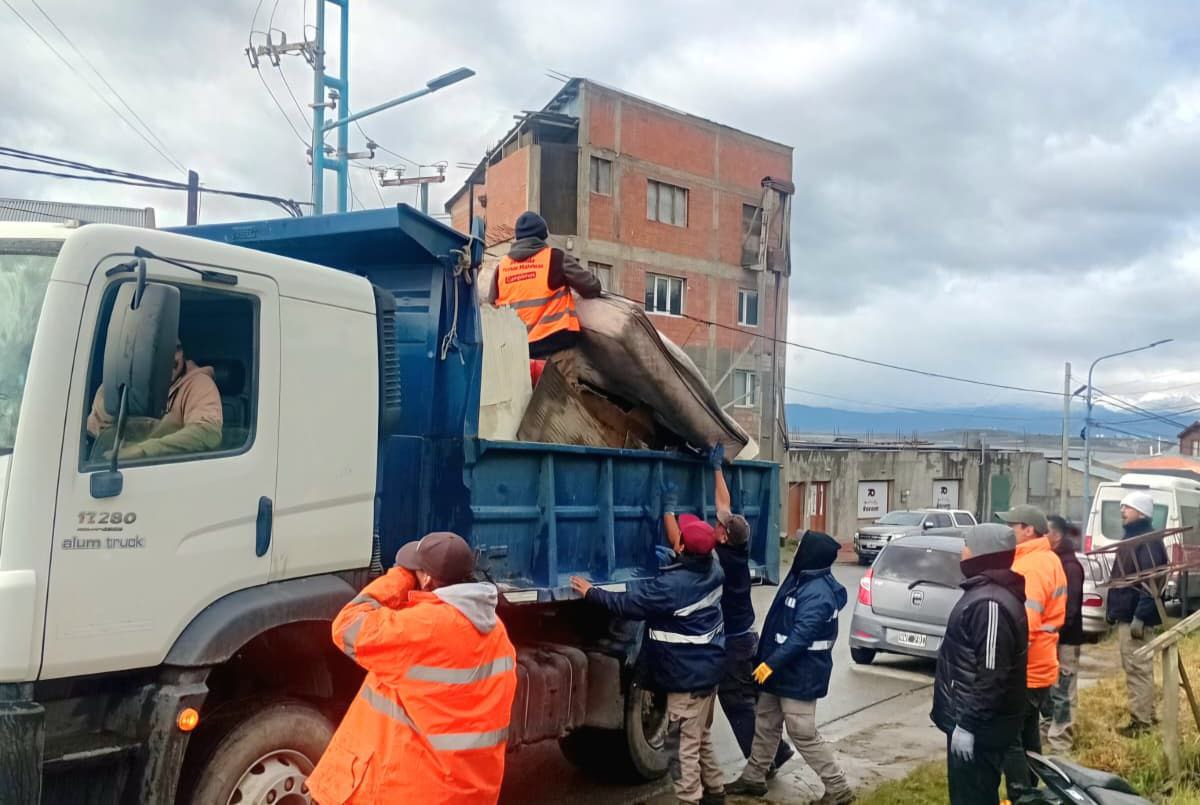 EL MUNICIPIO DE USHUAIA PIDE “RESPONSABILIDAD” A LA COMUNIDAD AL MOMENTO DE DISPONER DE LOS RESIDUOS SÓLIDOS URBANOS Y VOLUMINOSOS